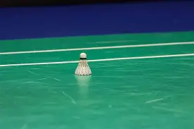 赛地聚焦：意甲窗口期热度飙升，迈阿密热火外线爆发，赛场秩序良好，纪律约束更严格的简单介绍